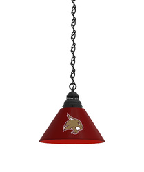 Texas State Pendant Light
