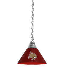 Texas State Pendant Light