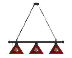 Texas State Three Shade Billiard Light