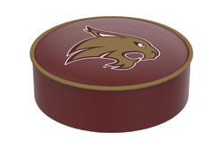 Texas State Seat Cover