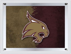 Texas State Acrylic LED Backlit Sign