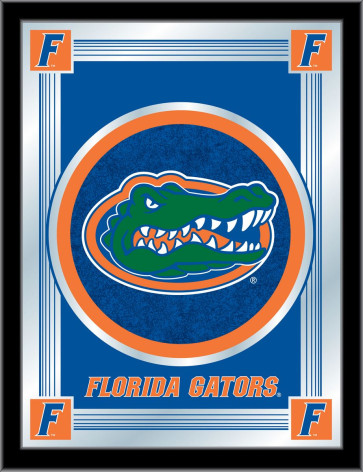 Florida Logo Mirror