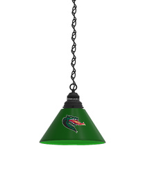 Alabama Birmingham Pendant Light