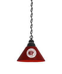 Indian Motorcycle Pendant Light