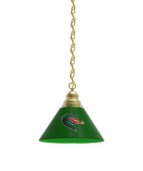 Alabama Birmingham Pendant Light