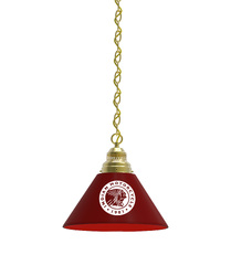 Indian Motorcycle Pendant Light
