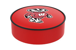 Wisconsin Seat Cover