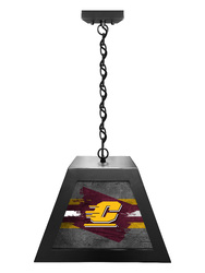 Central Michigan Box Pendant Light