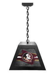 Florida State Box Pendant Light