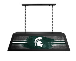 Michigan State Long Box Light