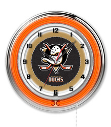 Anaheim Ducks 19