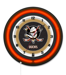Anaheim Ducks 19