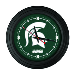 Michigan State 15