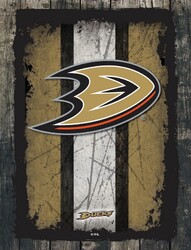 Anaheim Ducks Canvas Art 02