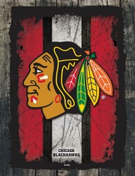 Chicago Blackhawks Canvas Art 02