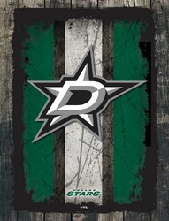 Dallas Stars Canvas Art 02
